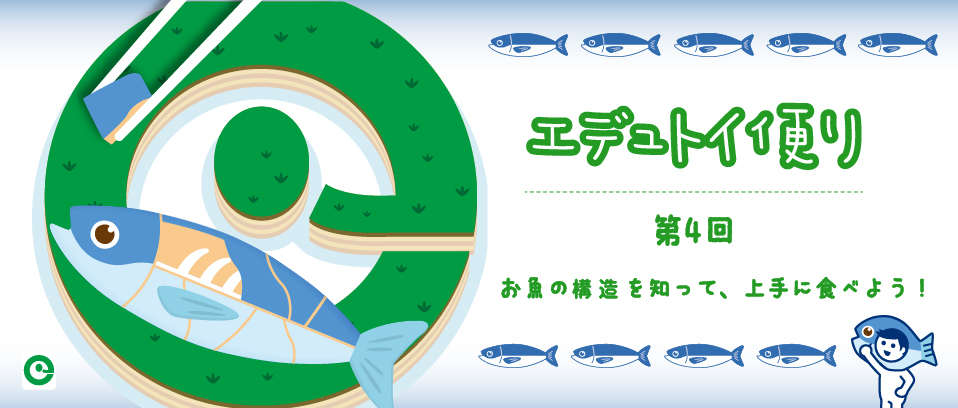 エデュトイ便り〜第4回 お魚の構造を知って、上手に食べよう！〜